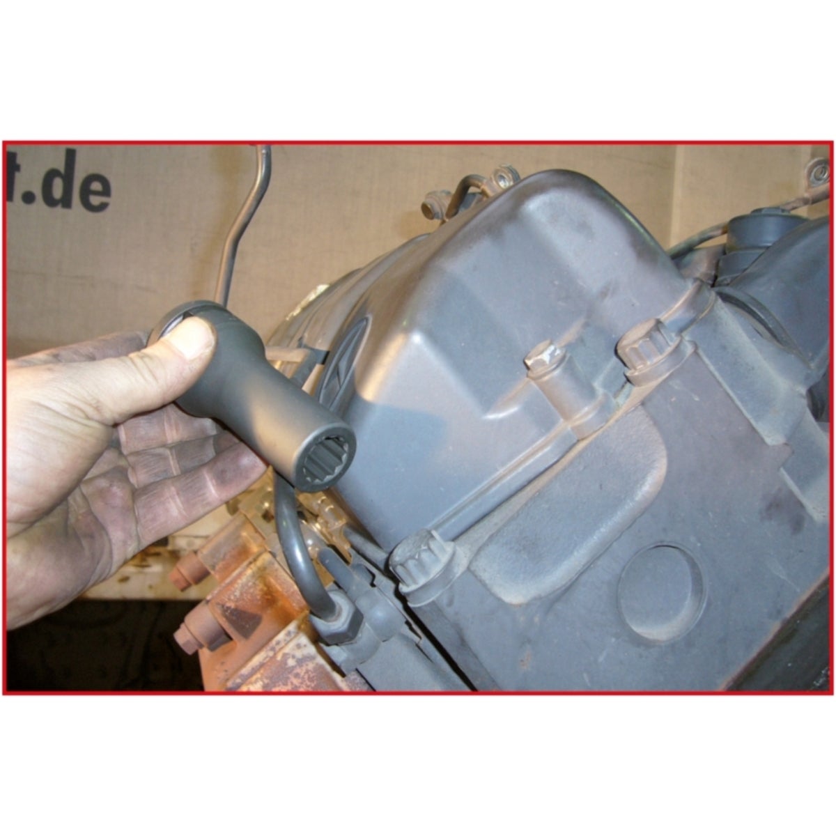 FOT_ANW_ALG_AUTO_455_00xx_10-13__AW1_SALL_AING_V1