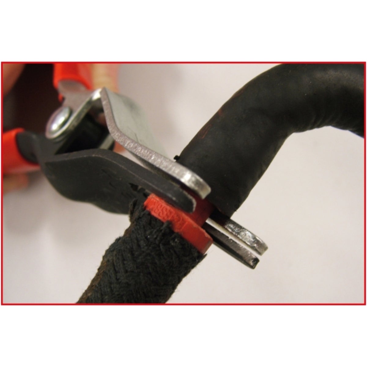 FOT_ANW_ALG_AUTO_115_1044_AW3_SALL_AING_V1