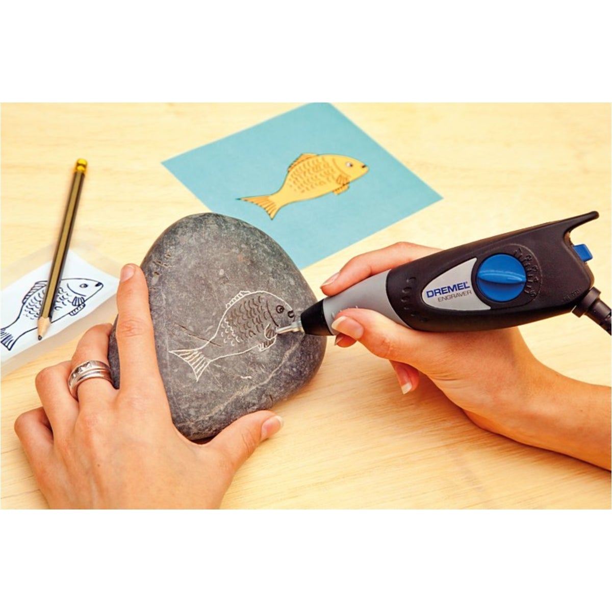 IMG-RD-8419-53pS7lGt0L4vqw3