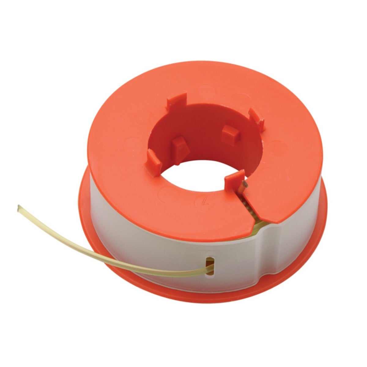 IMG-RD-8172-117