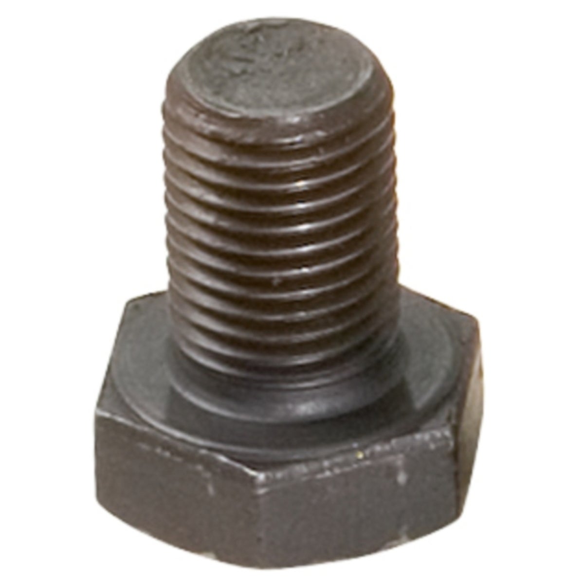 FOT_PRO_ALG_AUTO_150_2137_SALL_AING_V1