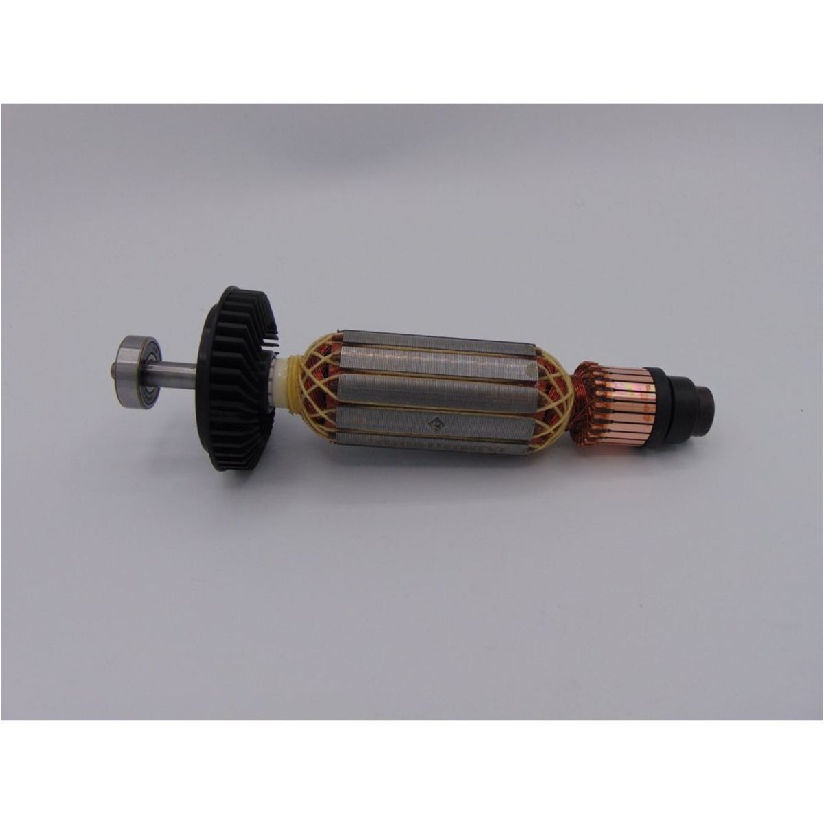 Bosch-Anker-mit-Lufter-1604010A22_04