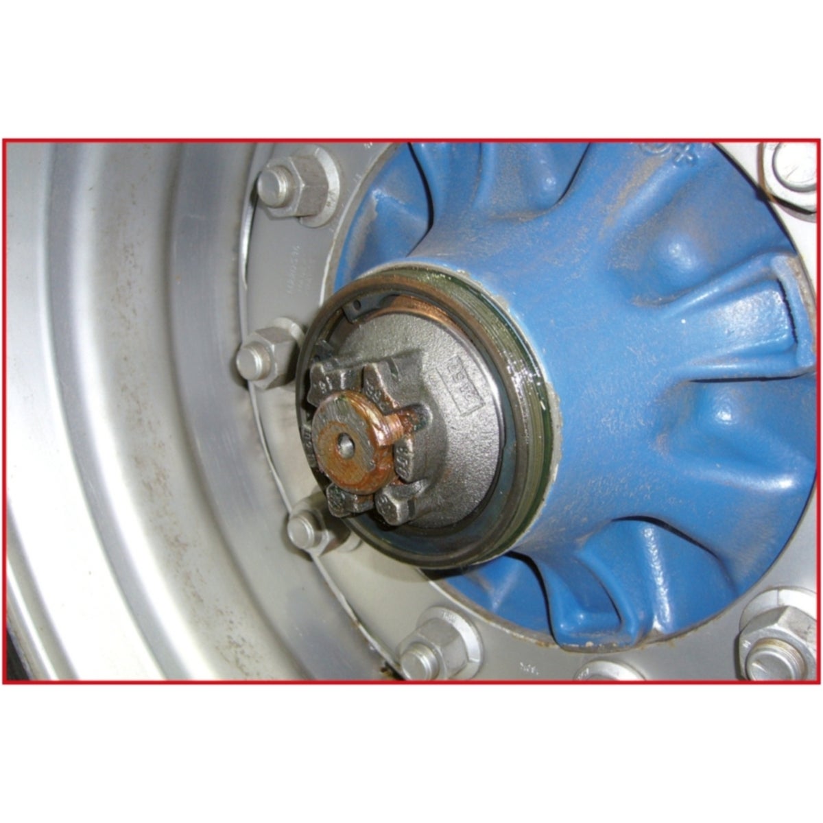 FOT_ANW_ALG_AUTO_450_020X_4-5__AW3_SALL_AING_V1