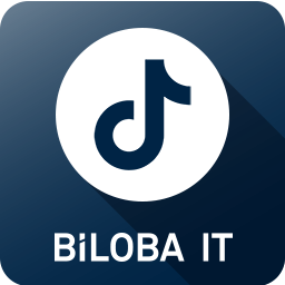 BilobaAdTikTokPixel