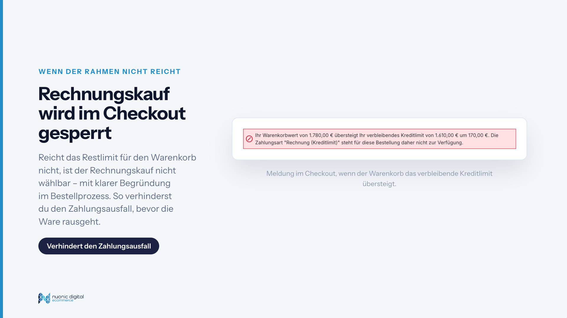 NuonicDebtorPlugin