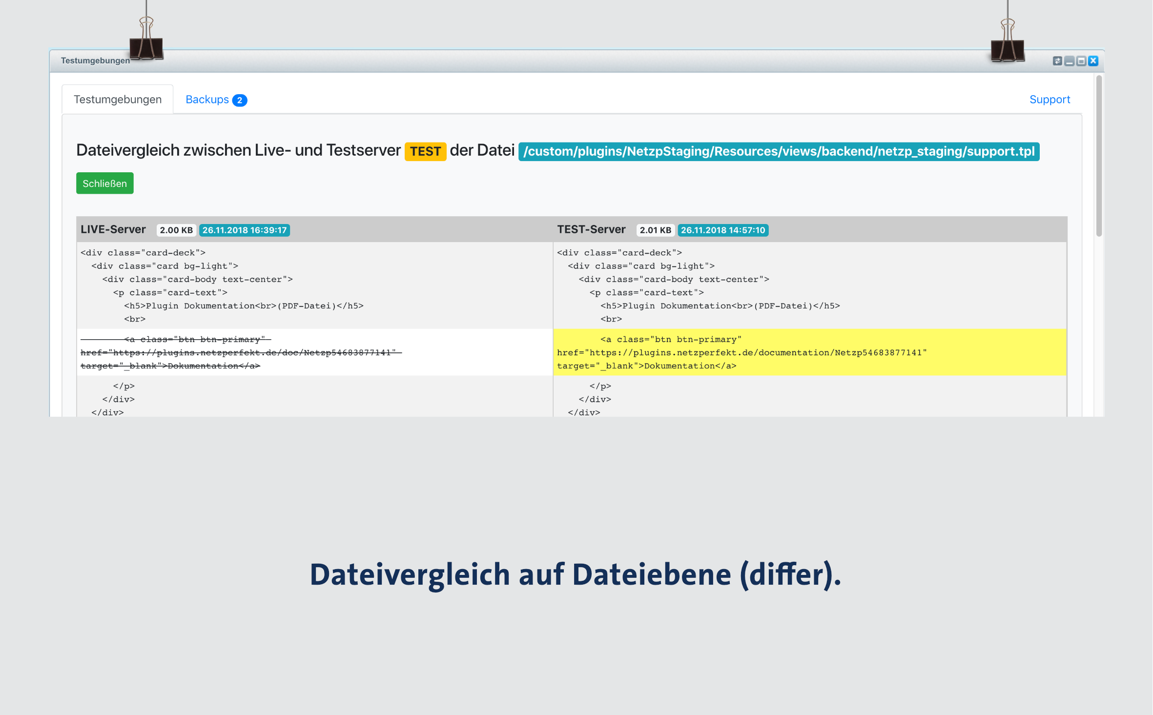 NetzpStaging