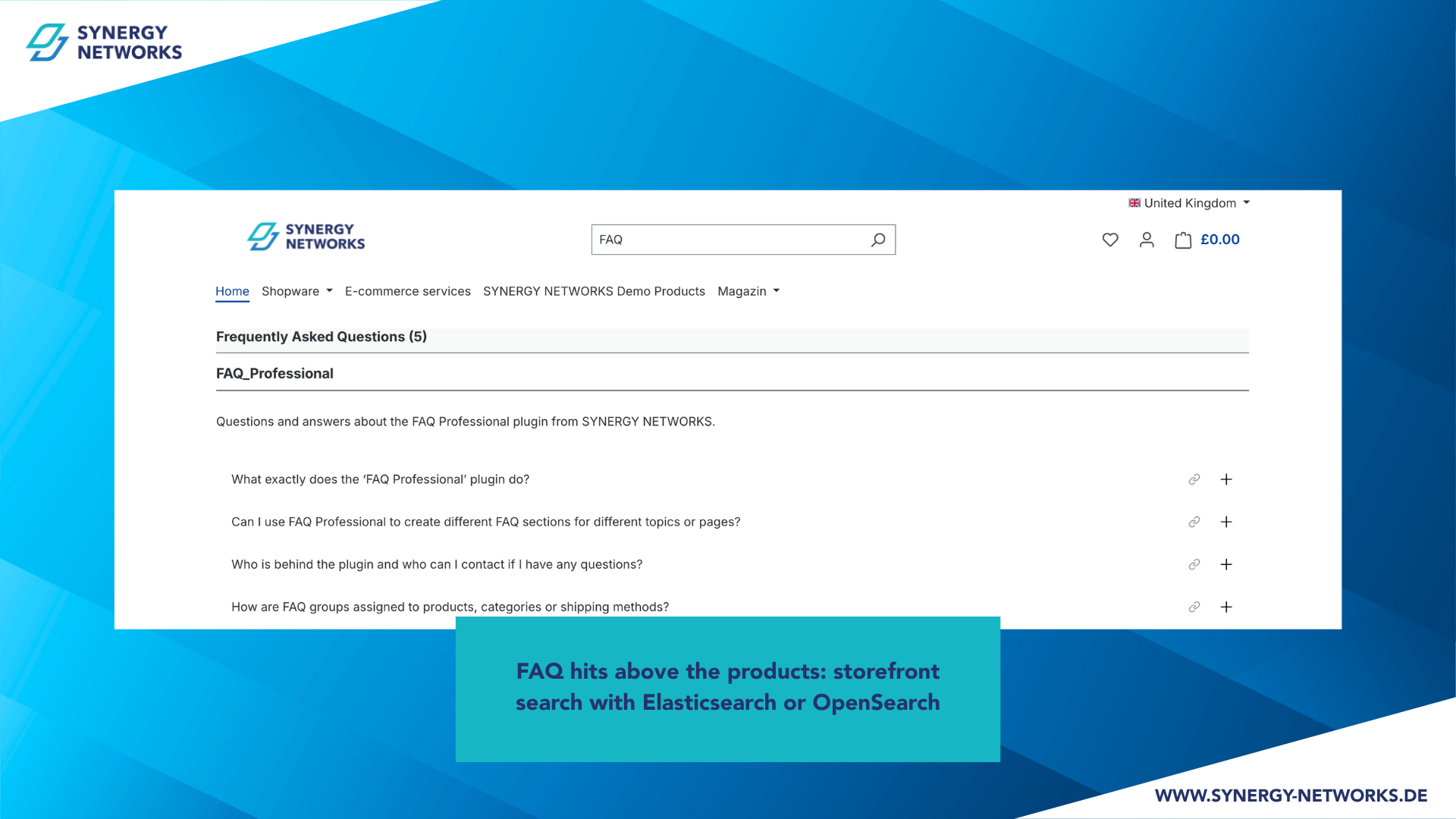 SynFaqProfessional