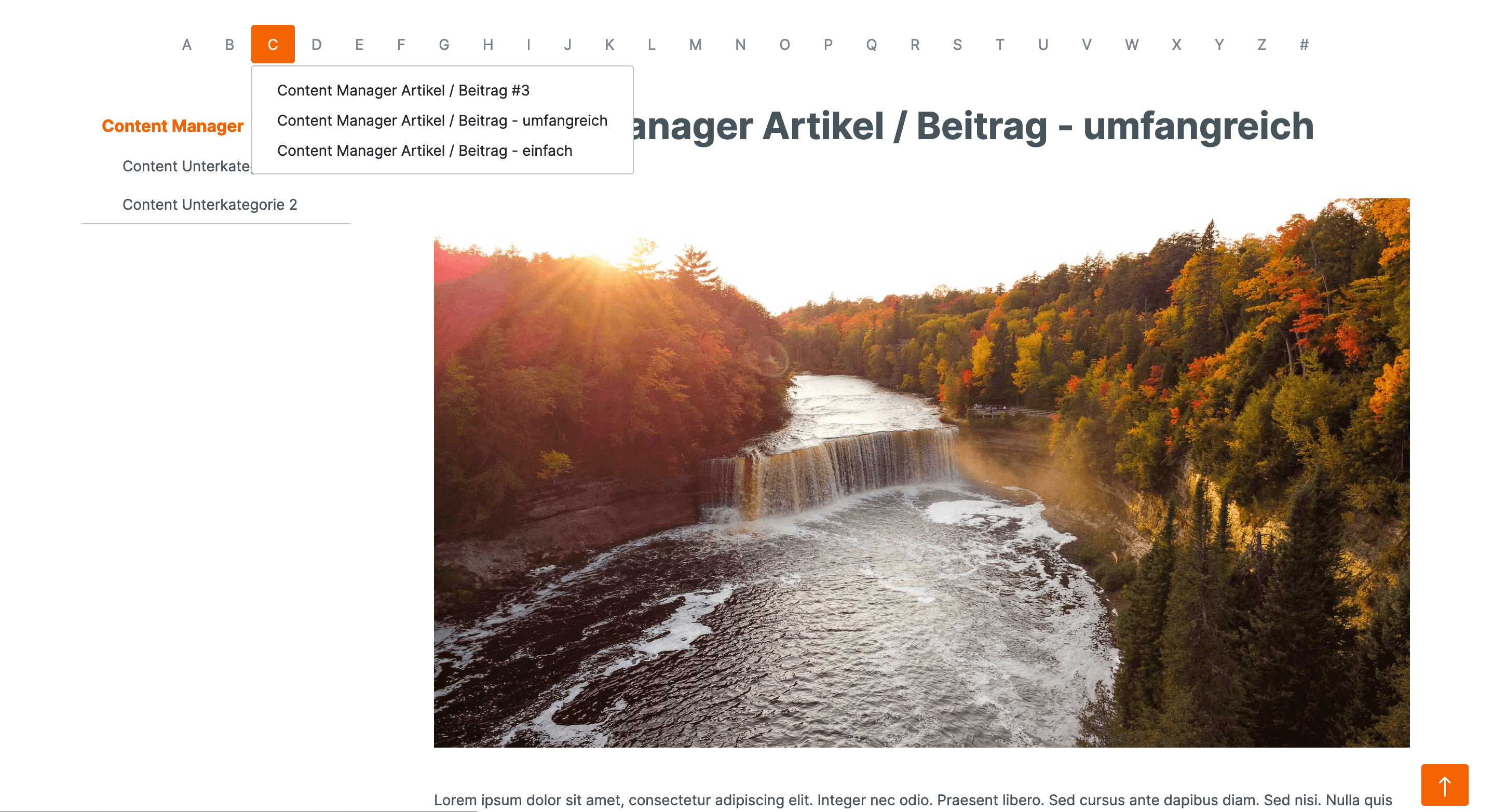 SwkwebContentManager
