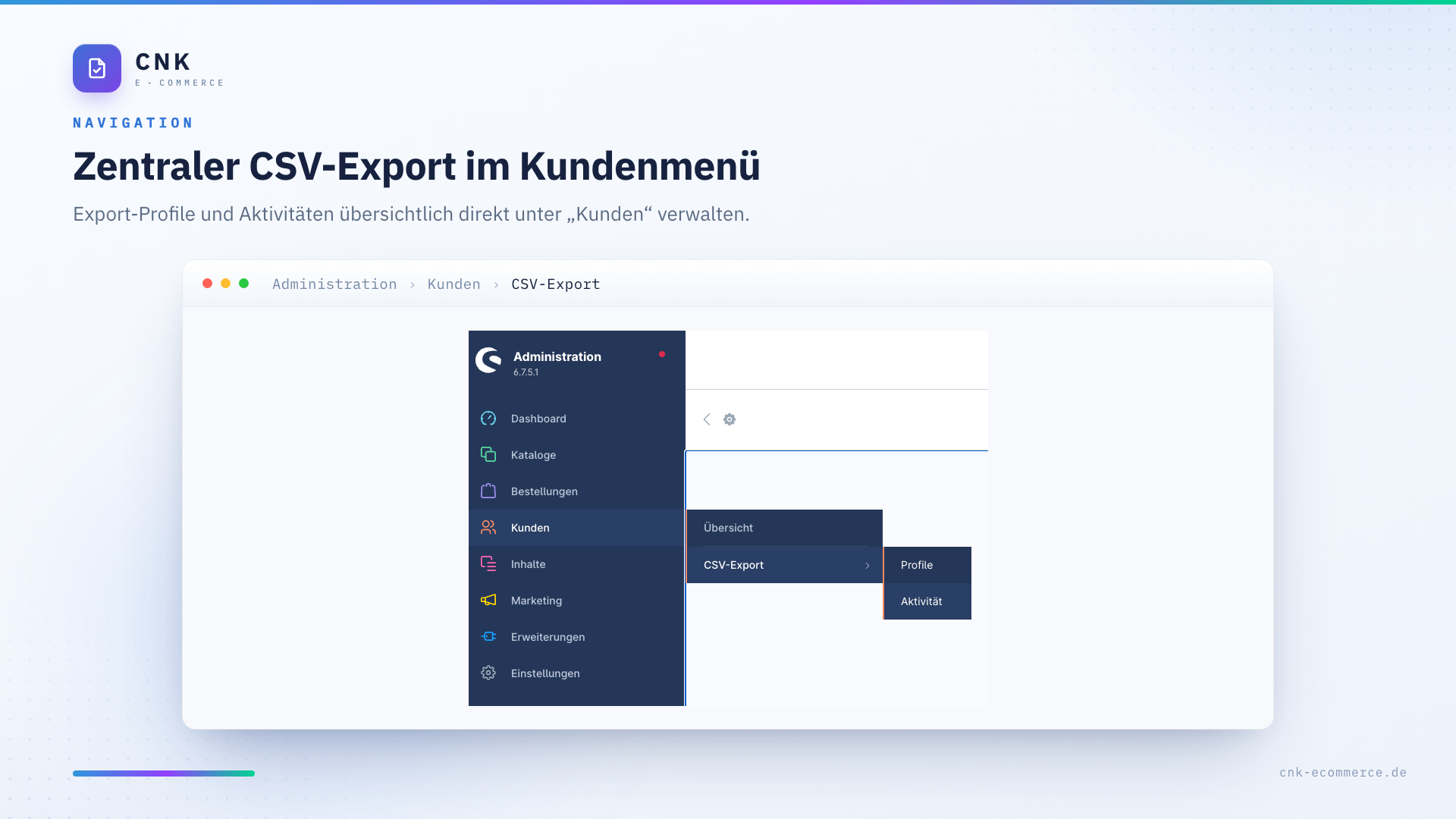 CnkPlatformCustomerCsvExport