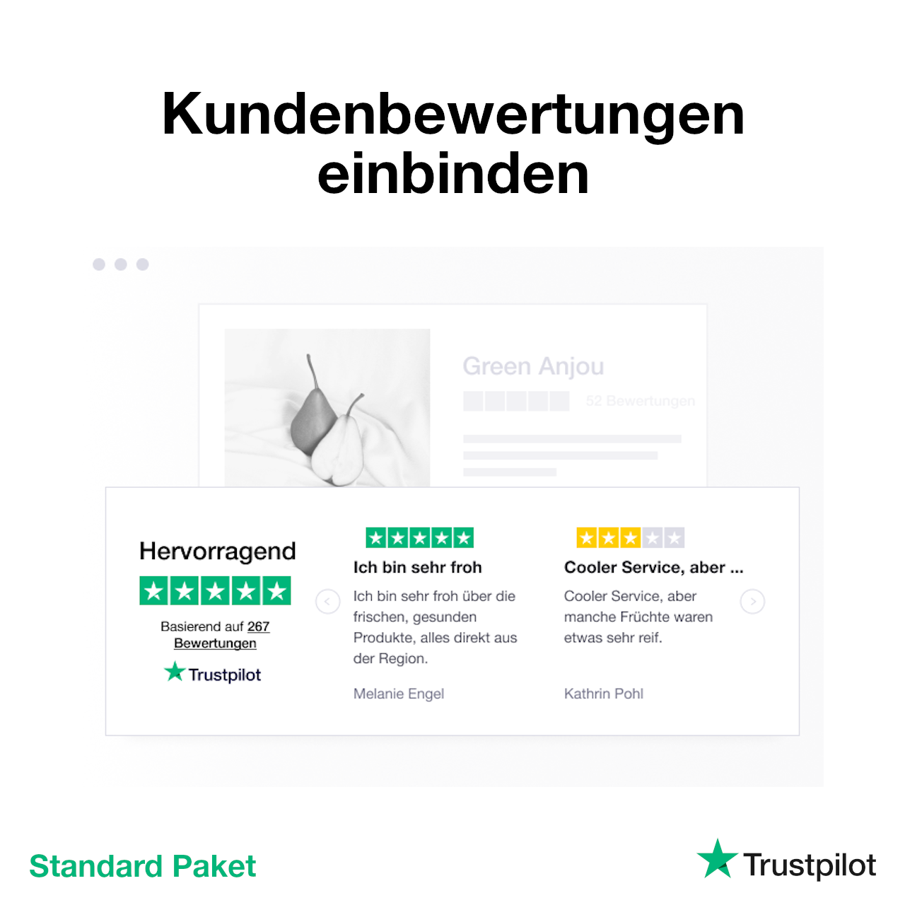 trus2_Trustpilot_Reviews