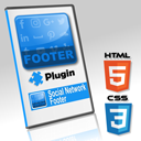 DmcSocialNetworkFooter