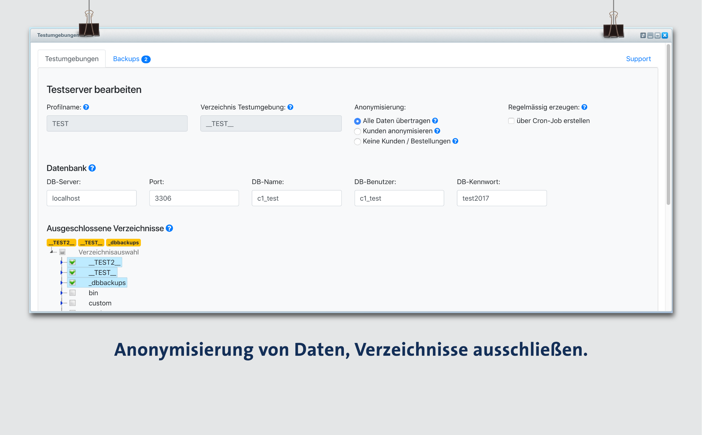 NetzpStaging