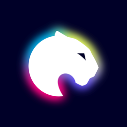 LeopardenNetBasedVat
