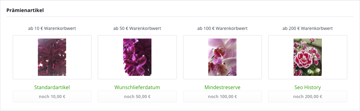 SwpEKWPremiumSlider