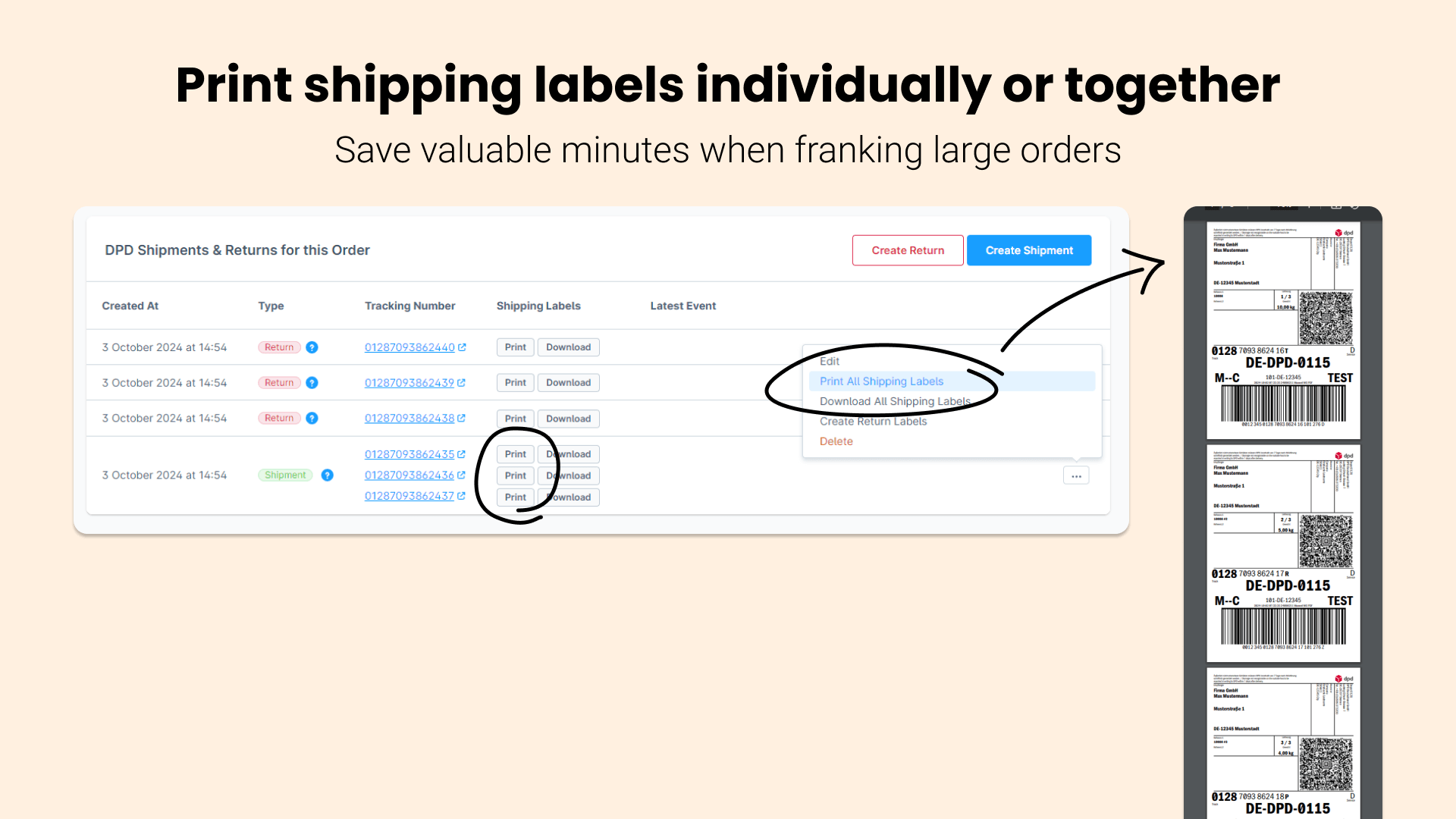 ApplifactionDpdShipping