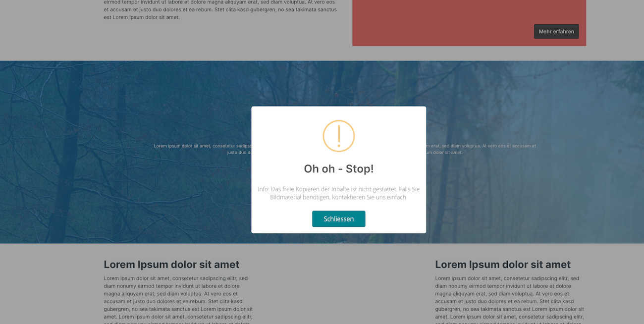 Alm6StopCopy