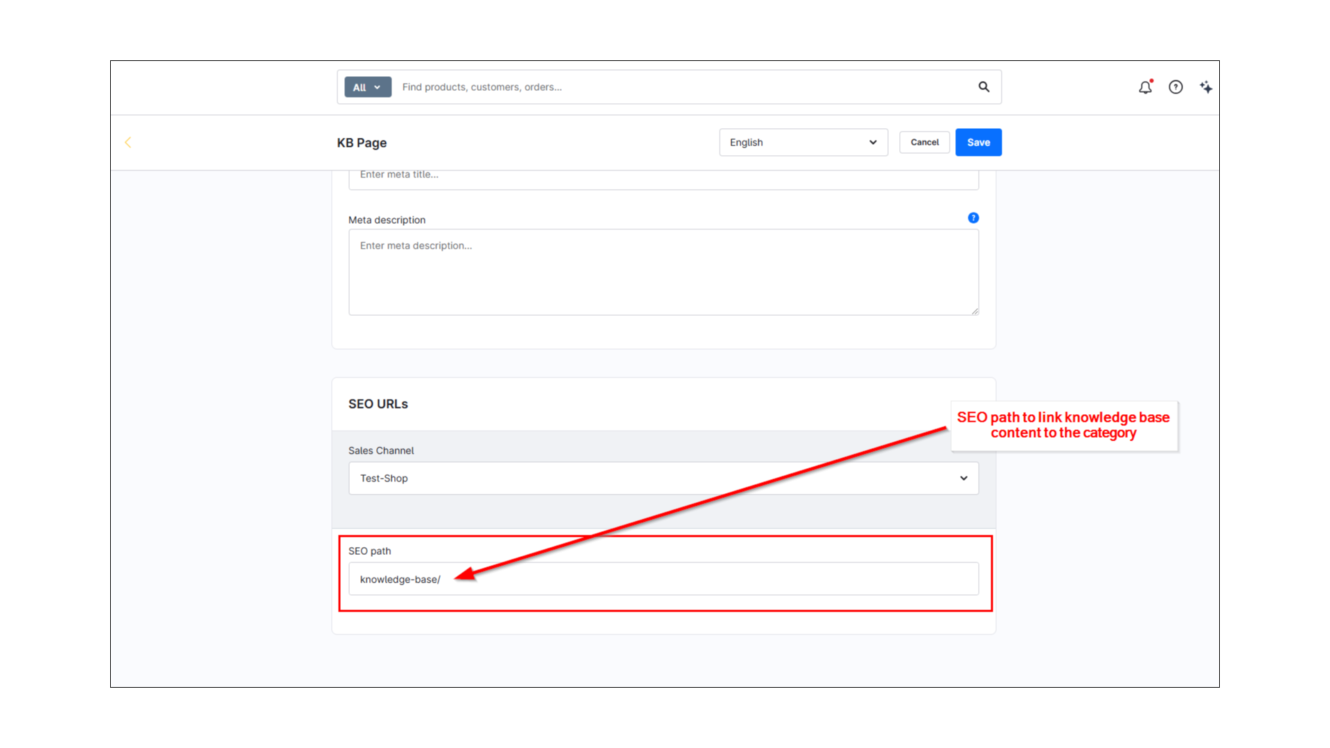 LenzPlatformKnowledgeBase