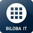 BilobaVariantOrderMatrix