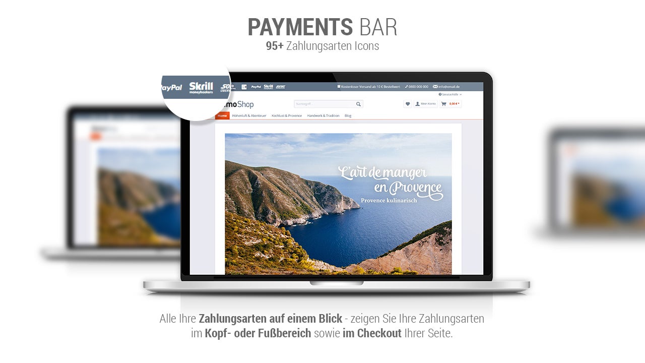 zenitPaymentBar