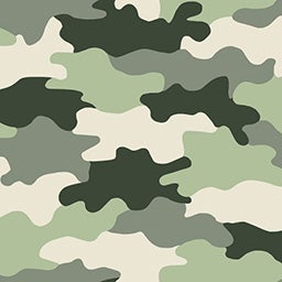 Armscript