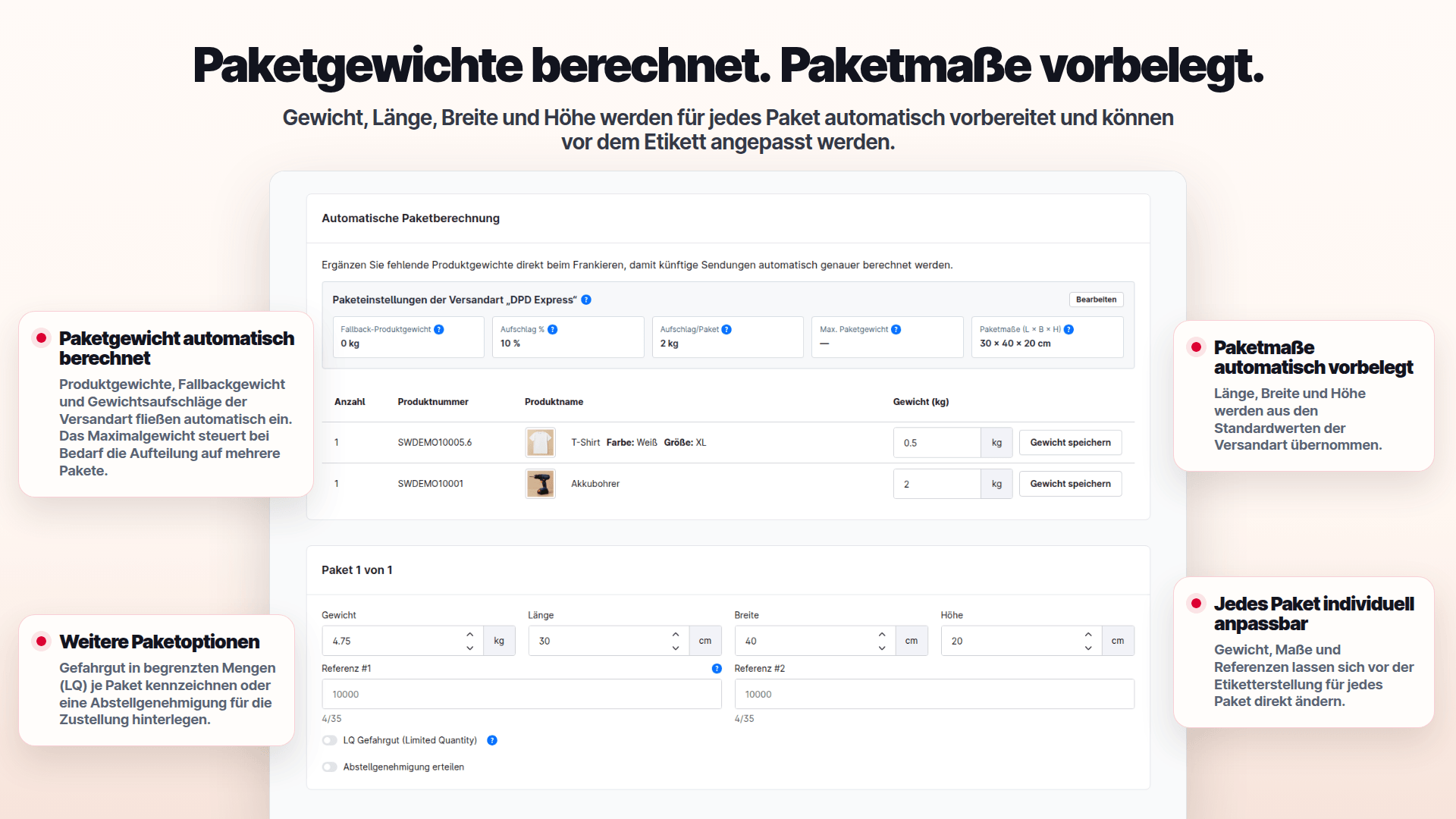 ApplifactionDpdShipping