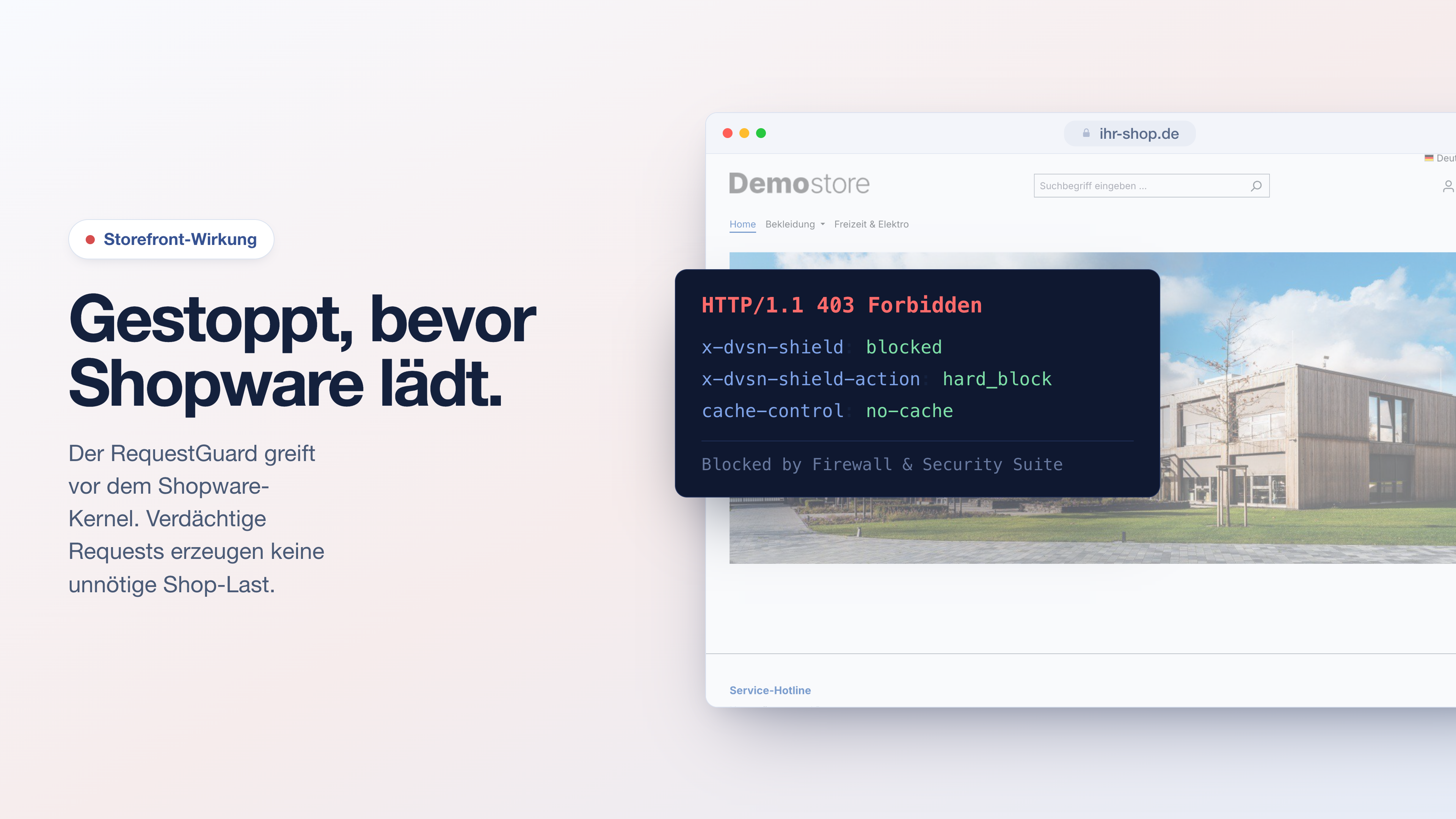 DvsnShield
