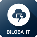 Biloba IT