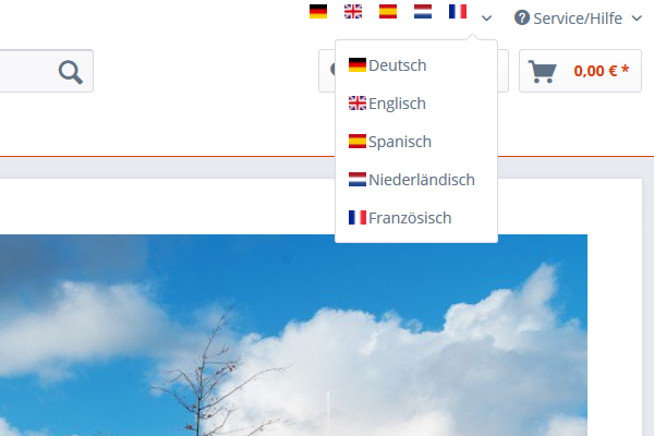 Customize and replace flags and language selection in the header area