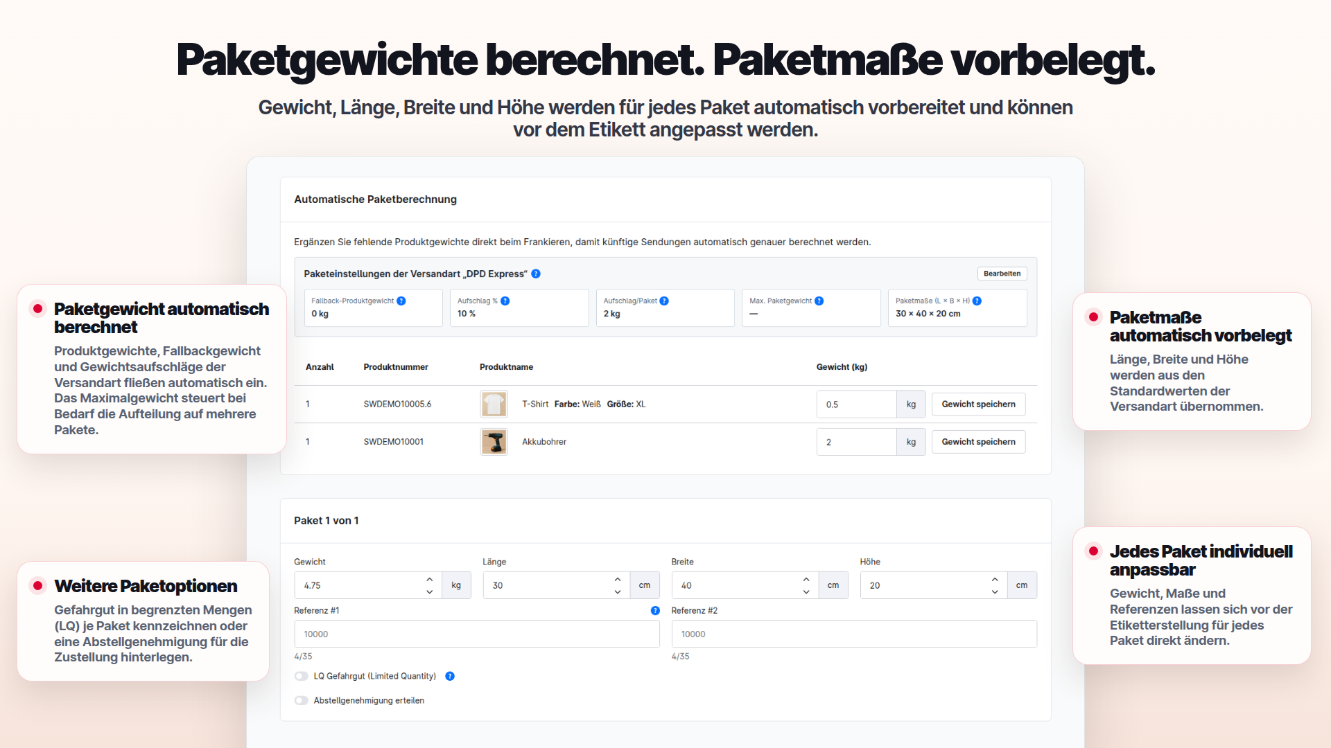 ApplifactionDpdShipping