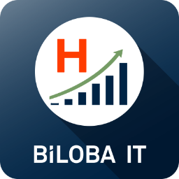 Biloba IT