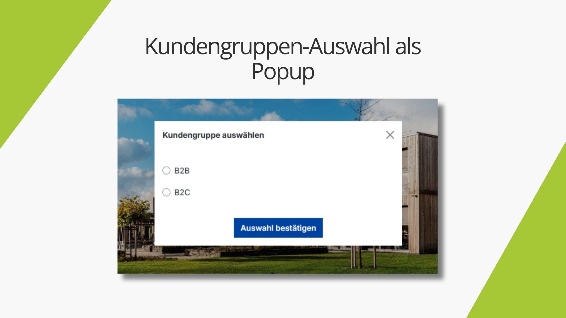 AcrisCustomerGroupSwitcherCS