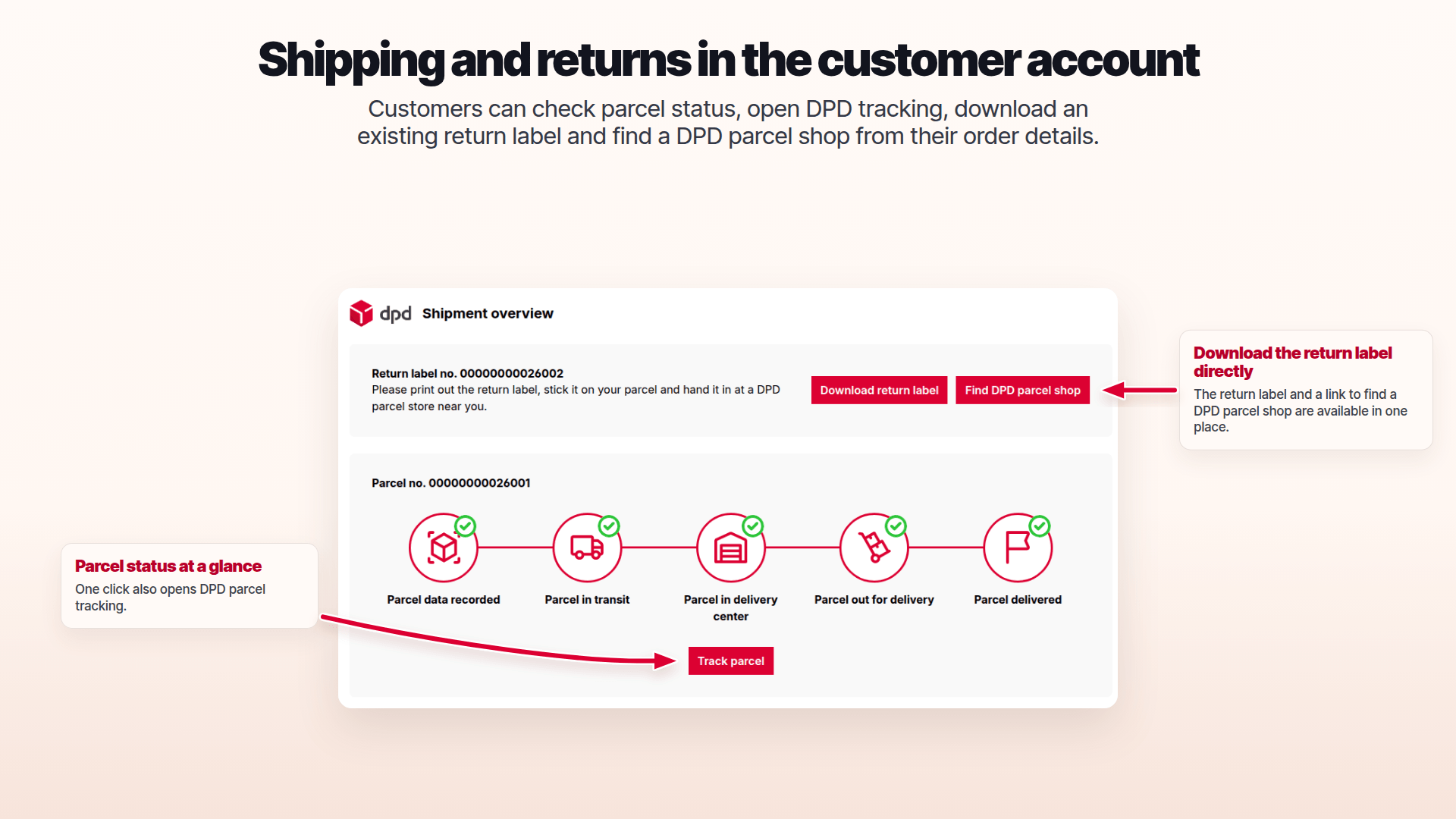 ApplifactionDpdShipping
