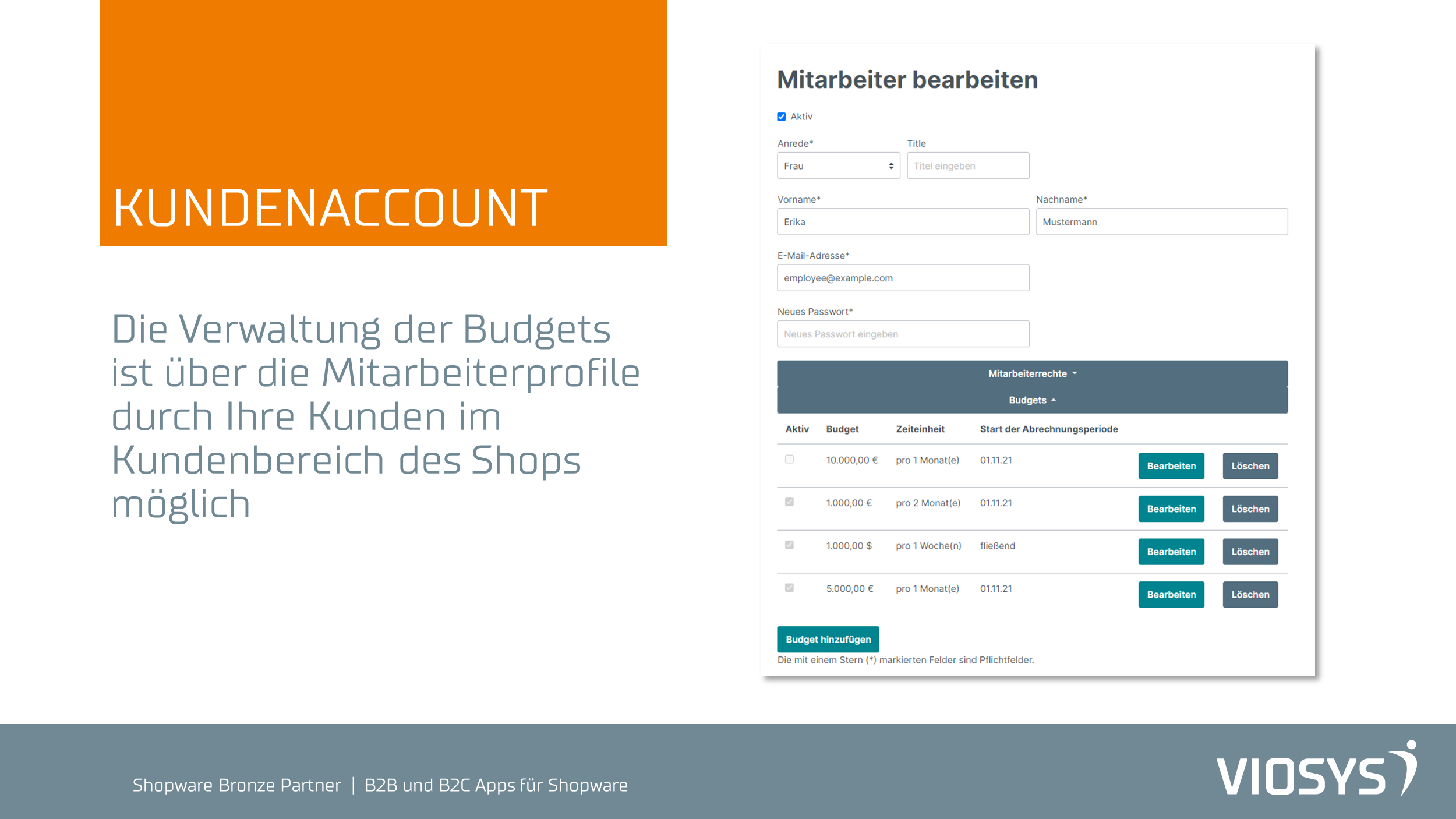 VioB2BBudgets