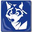 BlueWolf