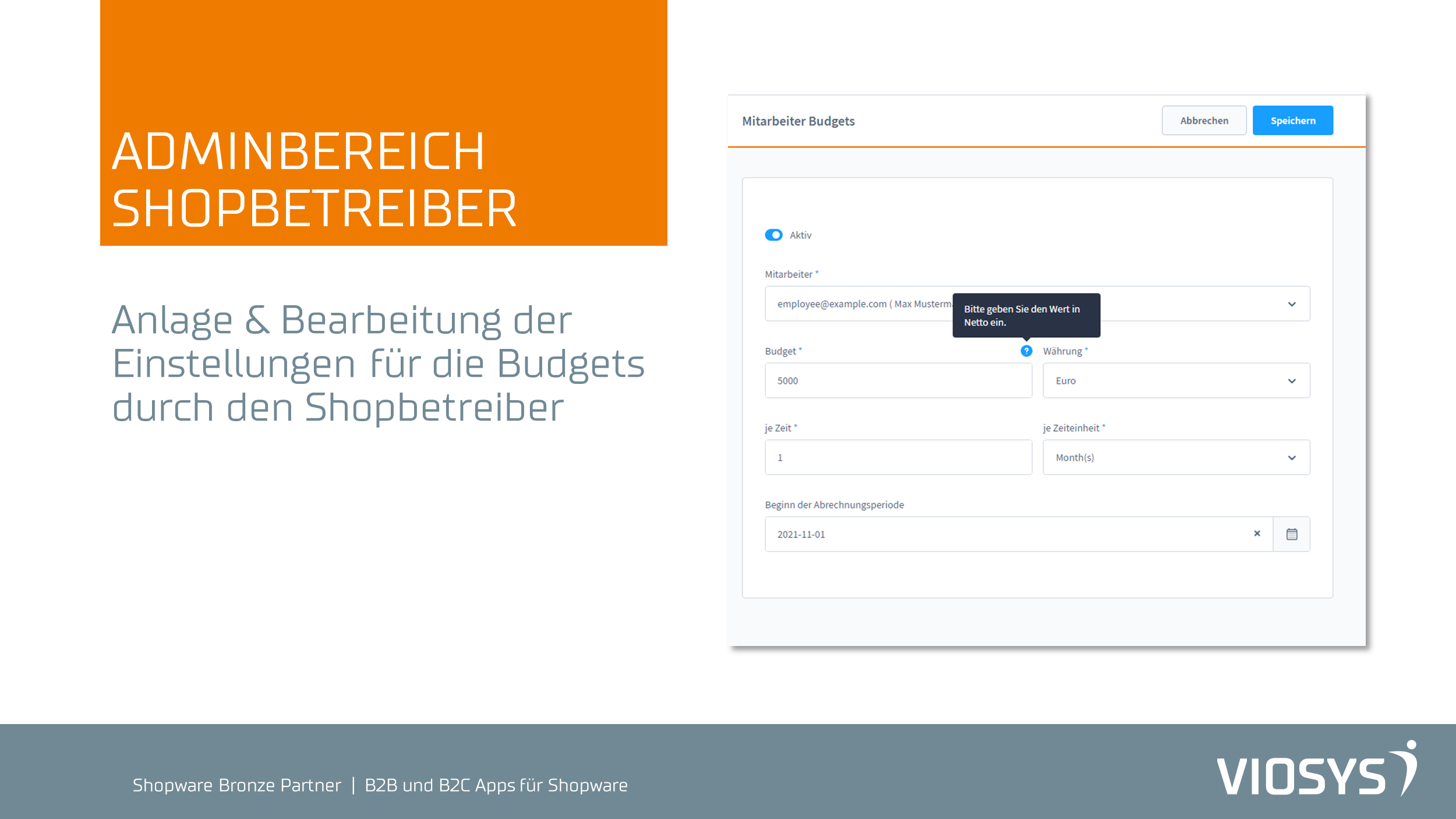 VioB2BBudgets