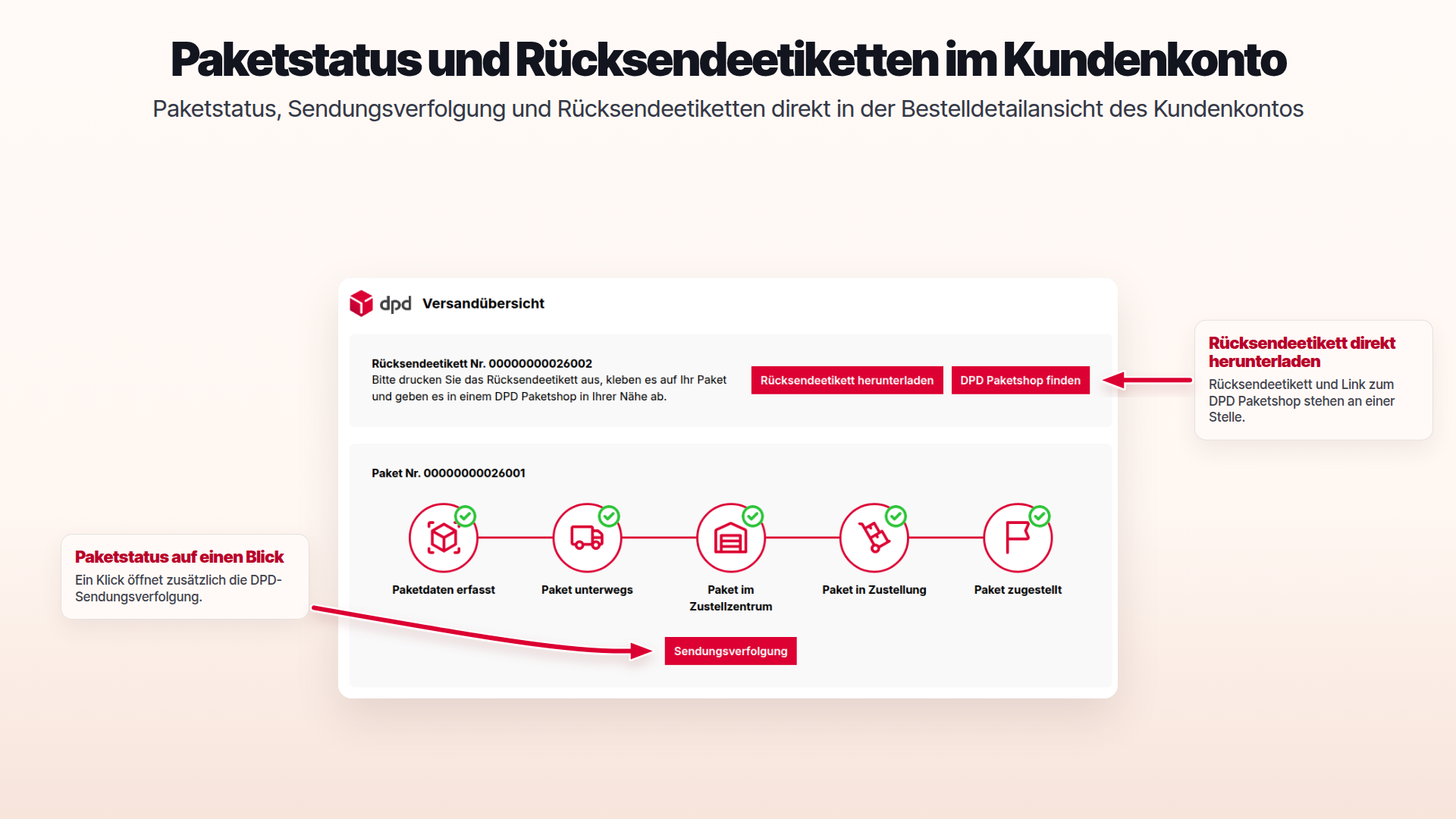 ApplifactionDpdShipping
