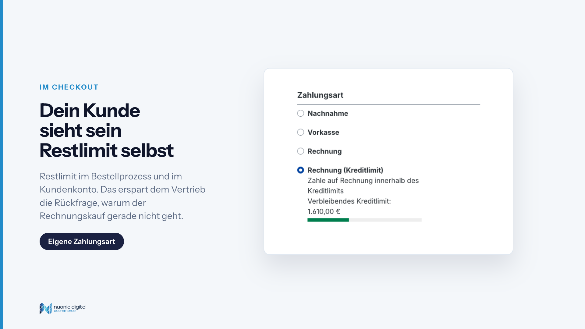 NuonicDebtorPlugin
