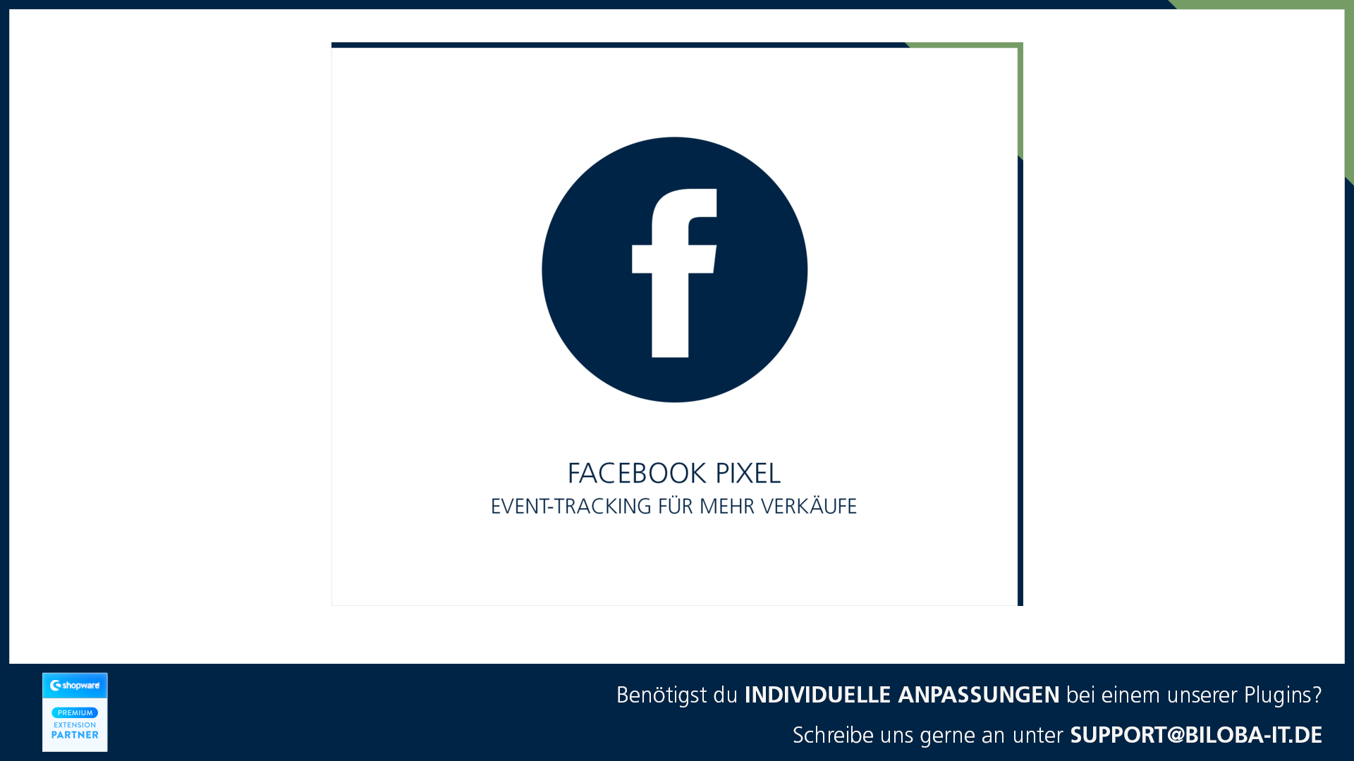 BilobaAdFacebookPixel