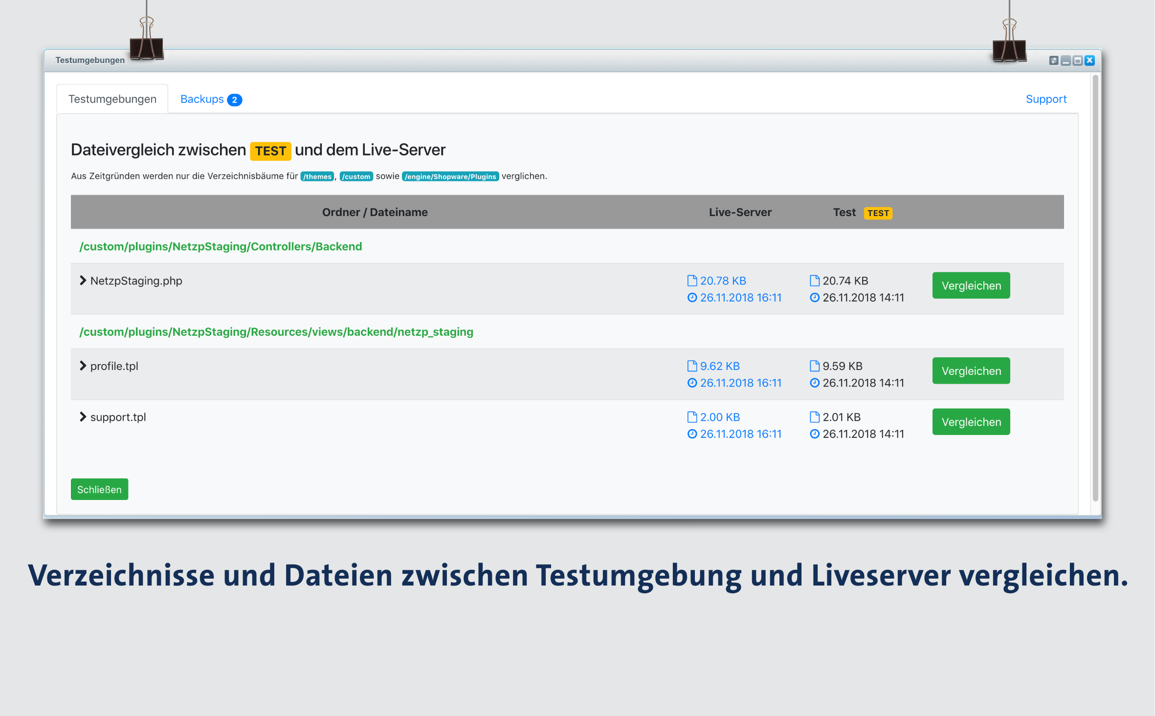 NetzpStaging