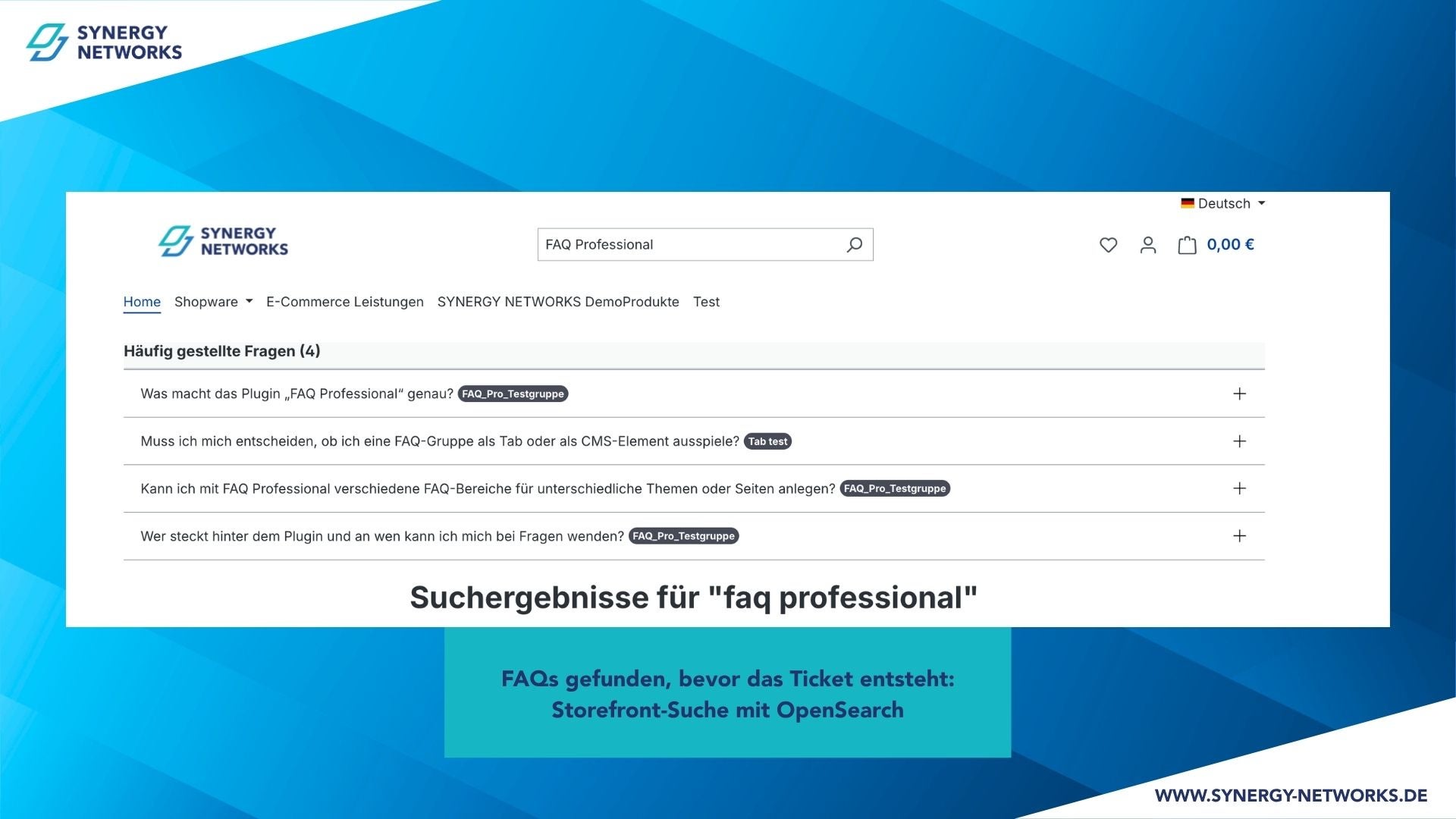 SynFaqProfessional
