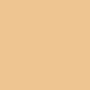 GA-DE IDYLLIC EXTREME COVER CONCEALER
