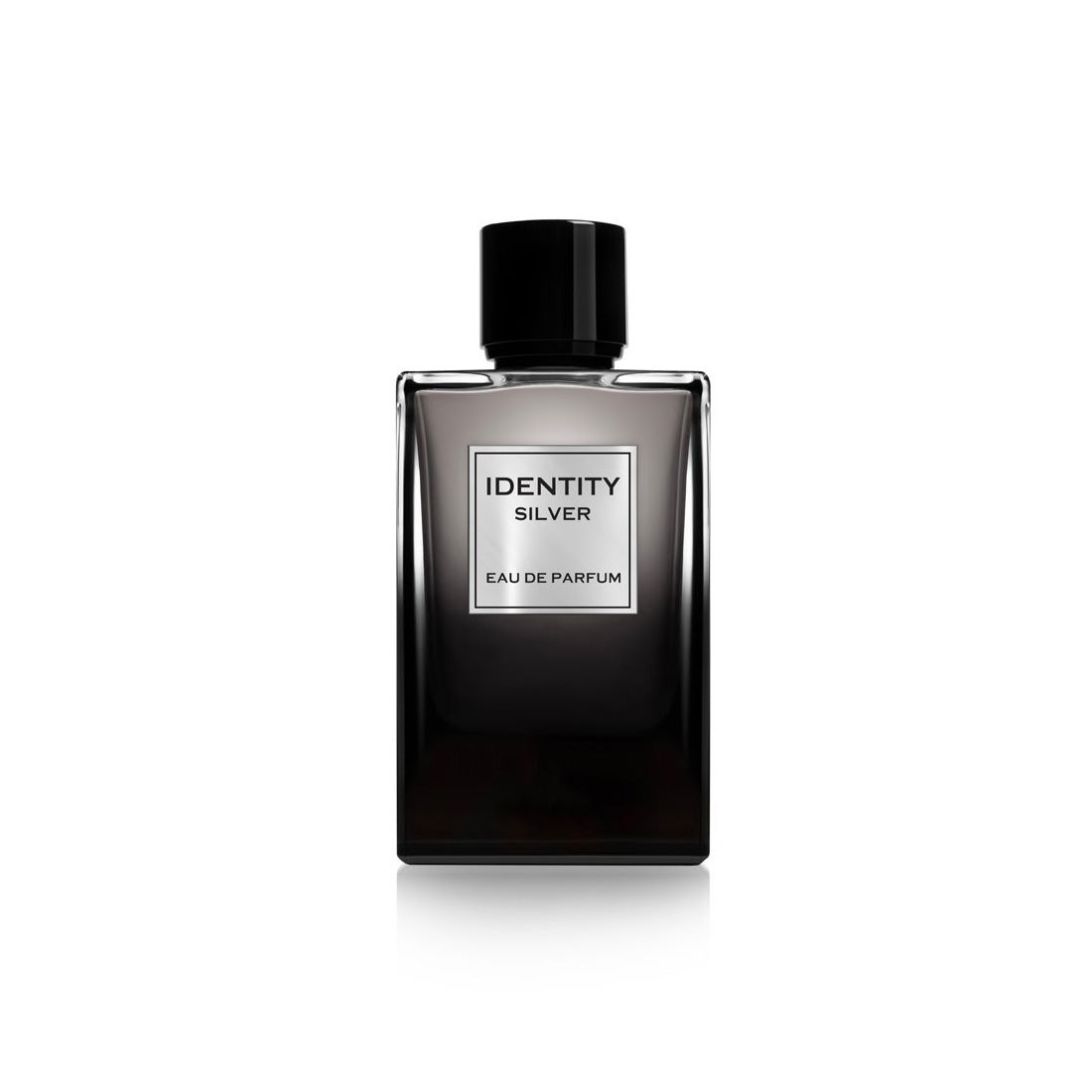 GA-DE IDENTITY SILVER POUR HOMME EDP 100ML