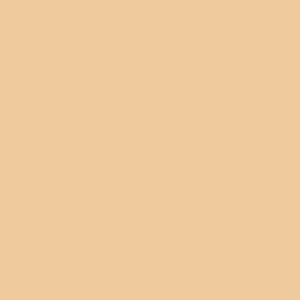 GA-DE IDYLLIC EXTREME COVER CONCEALER