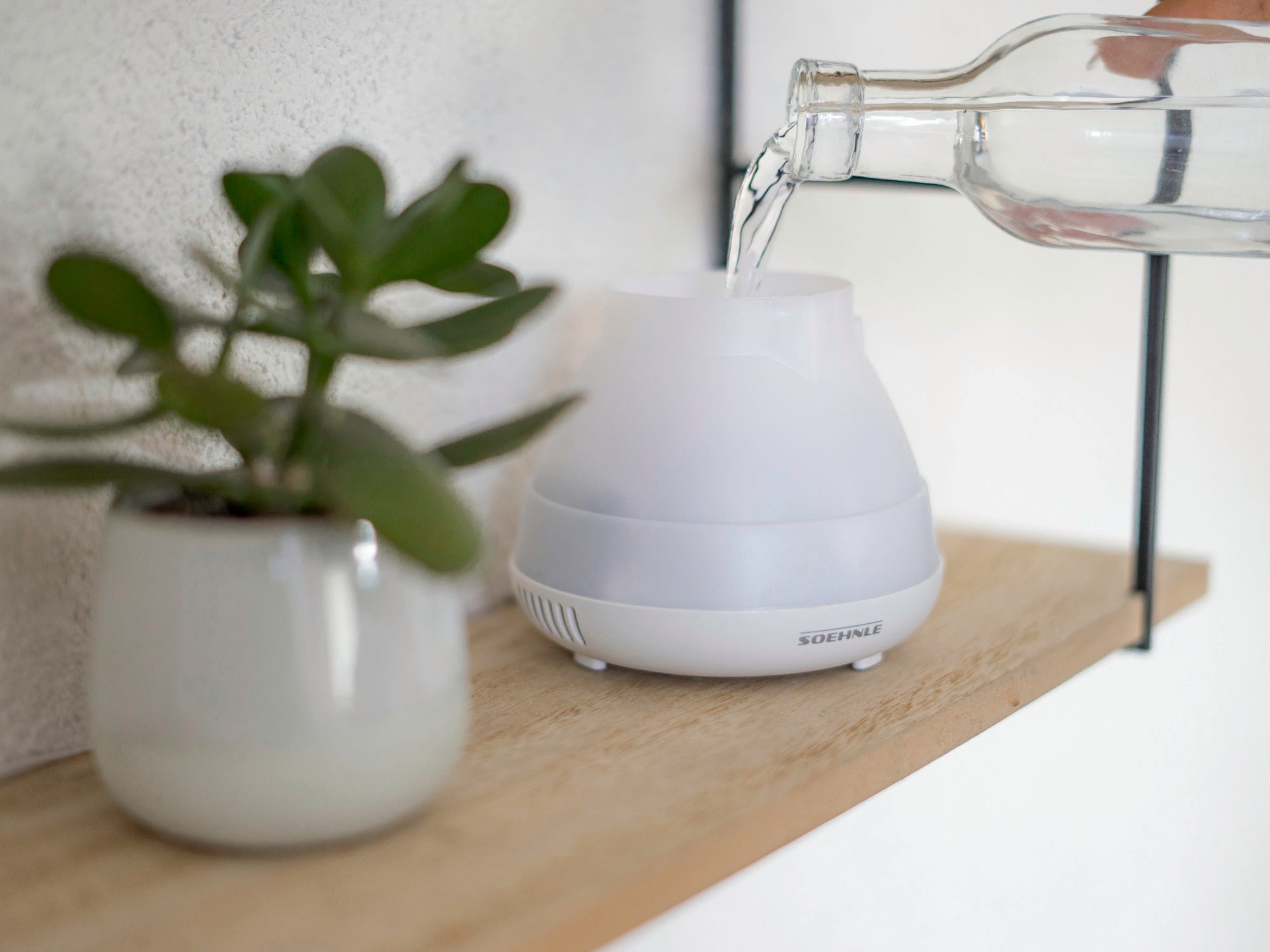 A Bari designer aroma diffuser is being filled with water on a wooden shelf next to a plant. The diffuser has a modern, white design and fits well into any interior.