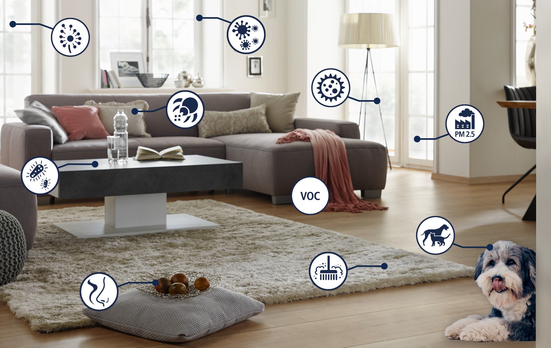 Modernes Wohnzimmer mit grauem Sofa, Couchtisch, Teppich und Hund; Symbole zeigen moegliche Verunreinigungen, Luftverschmutzung und Allergene.
