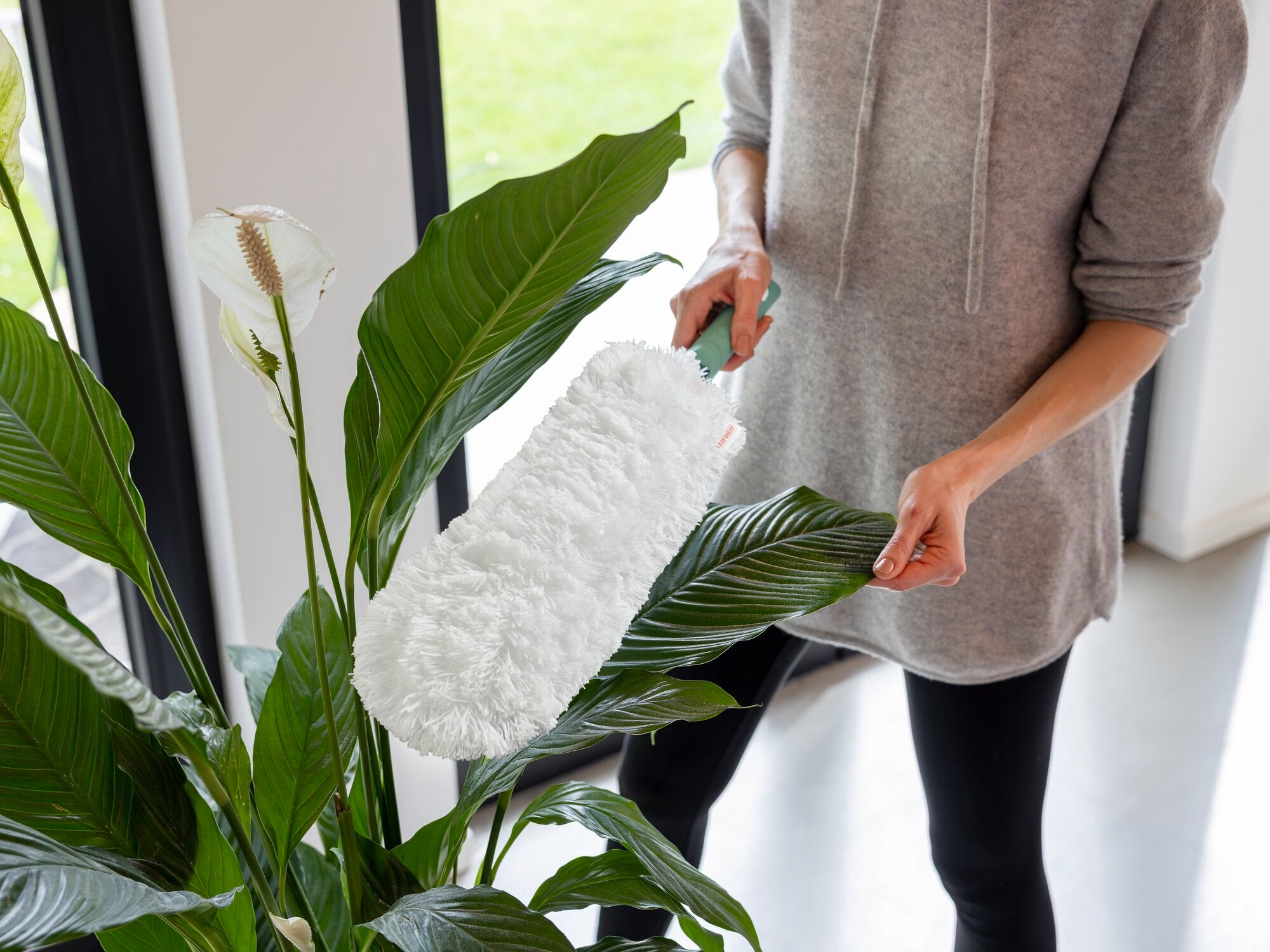 Een persoon gebruikt de SUPERDUSTER XL plumeau om stof te verwijderen van de grote groene bladeren van een kamerplant. De plumeau is pluizig en wit.