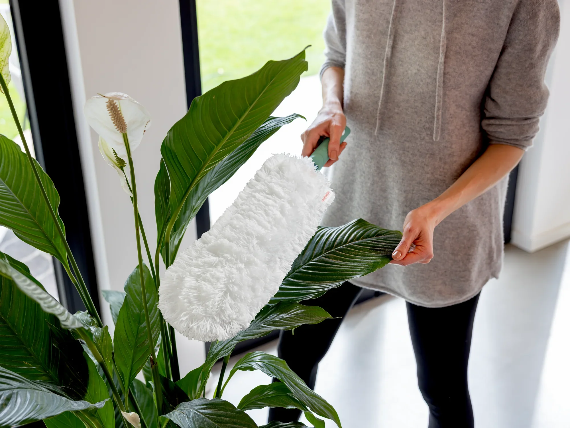 Een persoon gebruikt de SUPERDUSTER XL plumeau om stof te verwijderen van de grote groene bladeren van een kamerplant. De plumeau is pluizig en wit.
