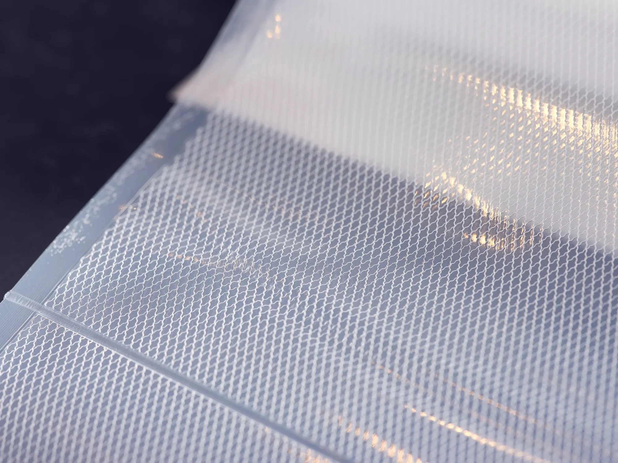 Sacchetti sottovuoto 20x30 cm: primo piano di un sacchetto sottovuoto trasparente e strutturato, ideale per conservare gli alimenti in modo sicuro. La struttura garantisce una chiusura efficace e il mantenimento della freschezza.