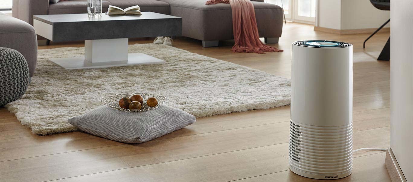 Ein modernes Wohnzimmer mit grauem Sofa, beigem Teppich, Luftreiniger, Kissen und Schale mit Fruechten auf dem Holzboden.