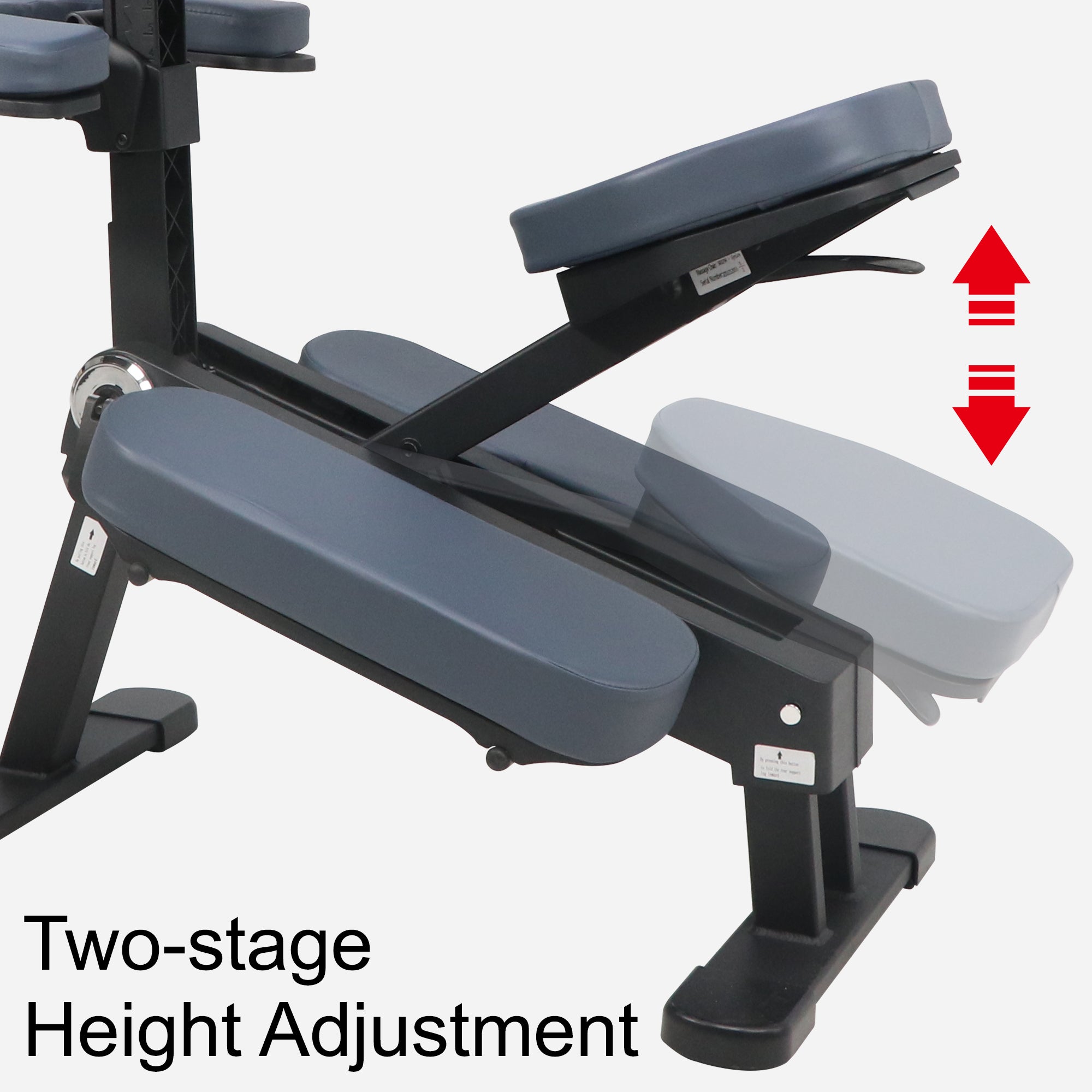 GYMLANE Pro chair for massage therapy